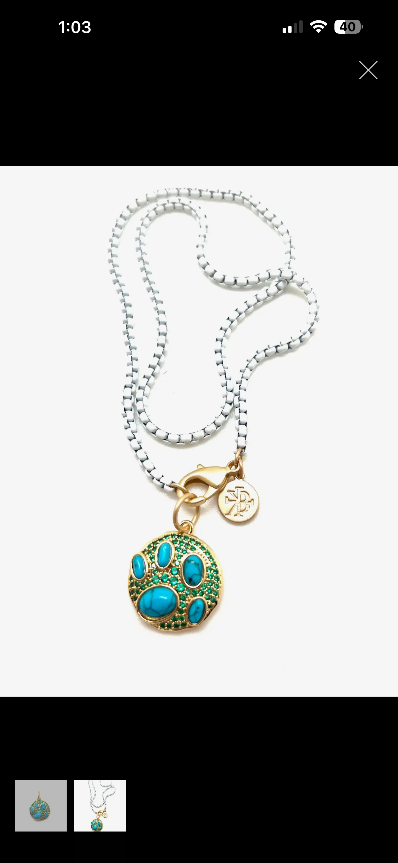 Turquoise Paw Charm (Sold without Chain)
